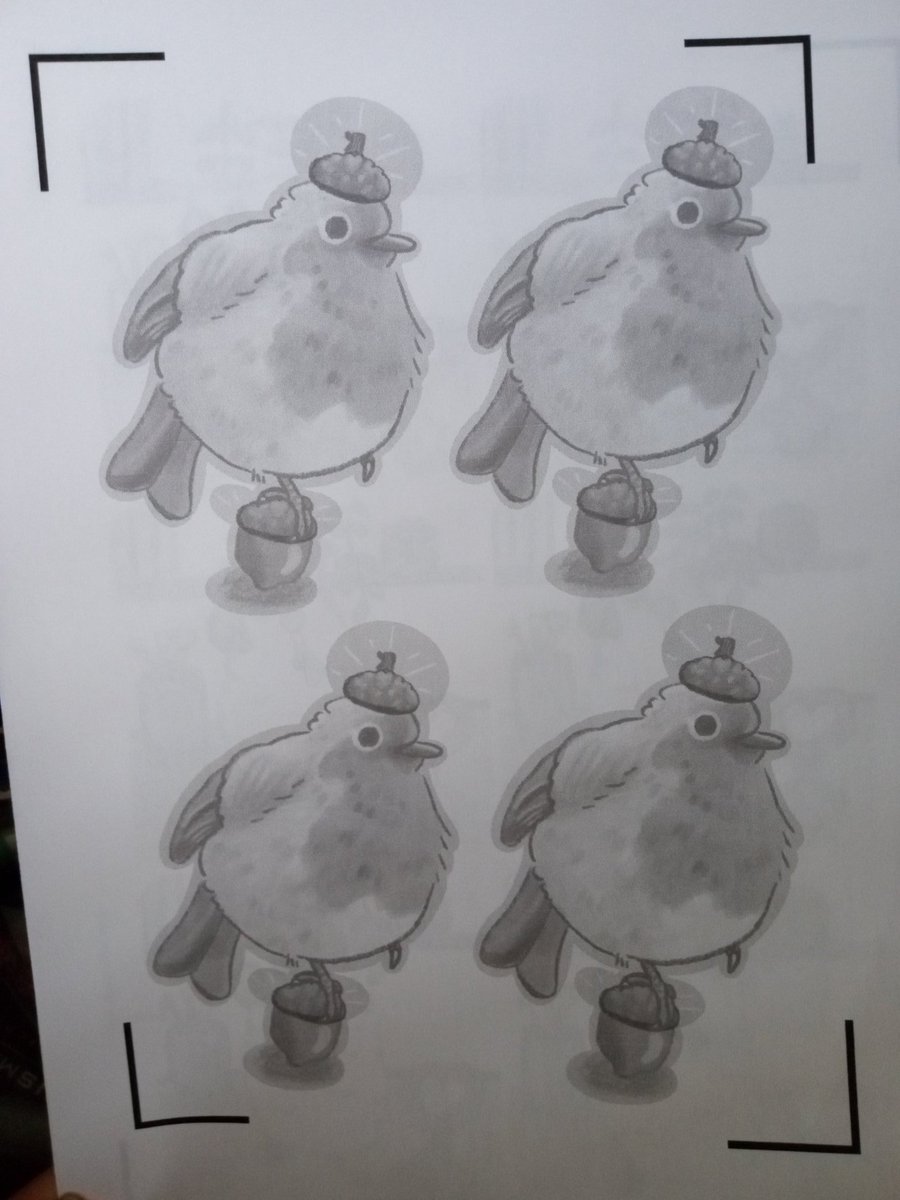 Printing sticker test sheets! They're in grayscale on regular ol' printer paper, because I'm just checking if the sizes are to my liking 🐦
#Stickers #birds