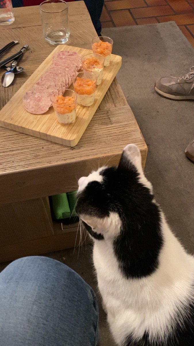 Groscar2's tweet image. C’est le chapero de la fin du week-end 🧀