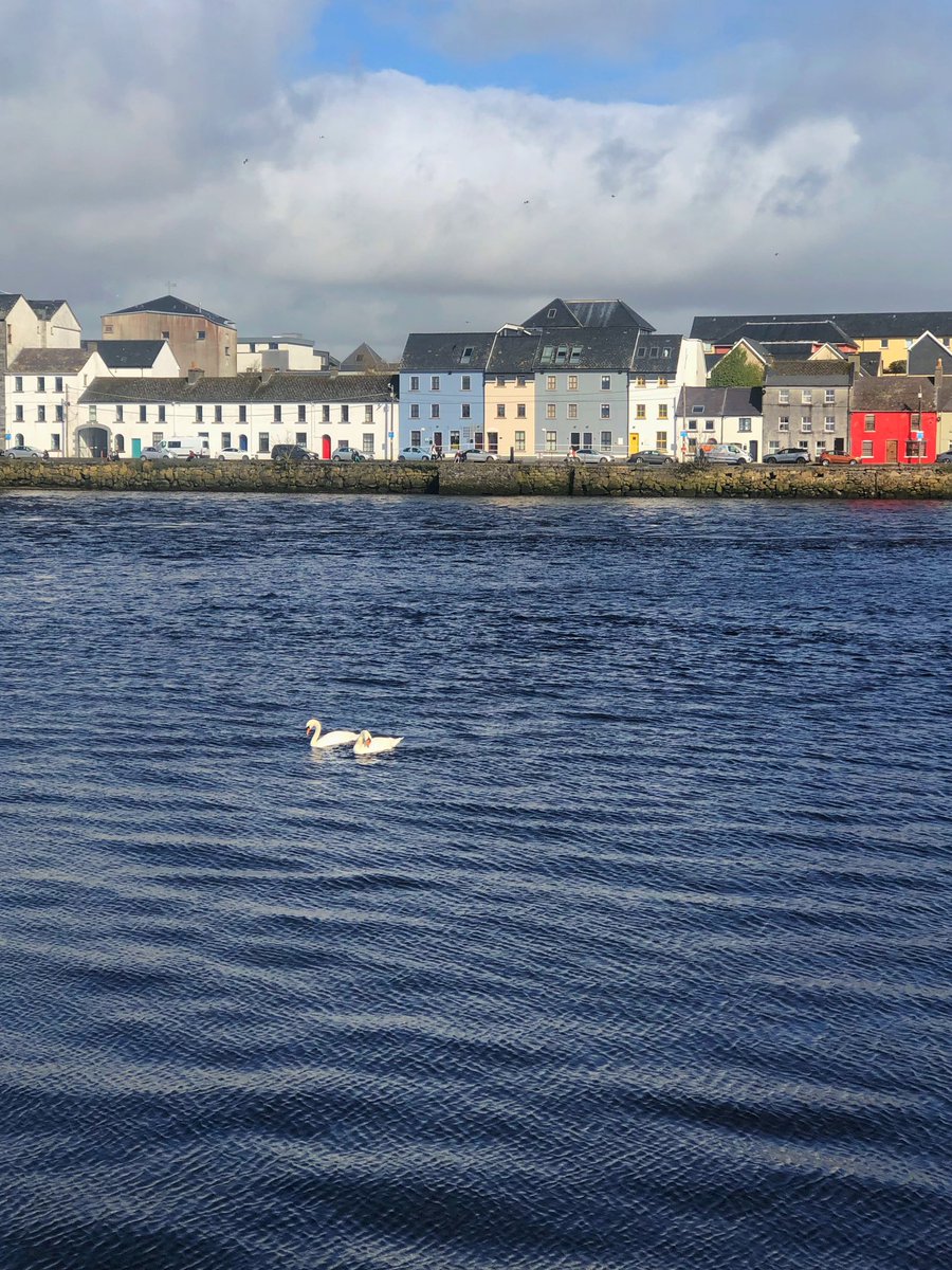 Galway city appreciation post ♥️
#claddagh #galway #Ireland