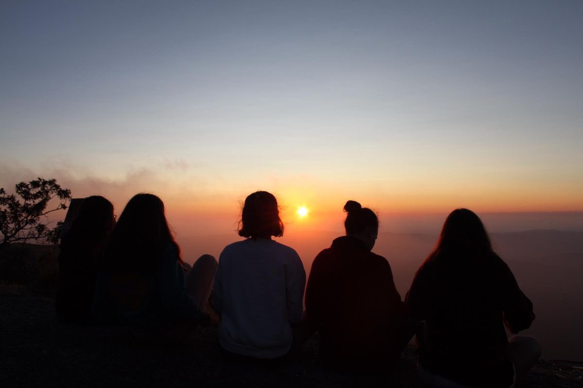 Türk köşesi tweet media