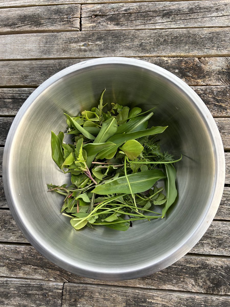 First forage in March