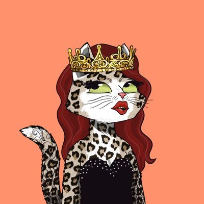 Jay B 😻🚀 tweet media