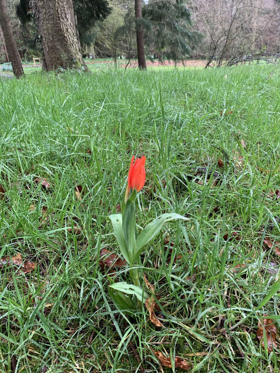 StanleyLakeland's tweet photo. Lovely walk in #ThorpPerrow this morning pals…Spring is Springing😬💖 https://t.co/4CBLbGAcdp