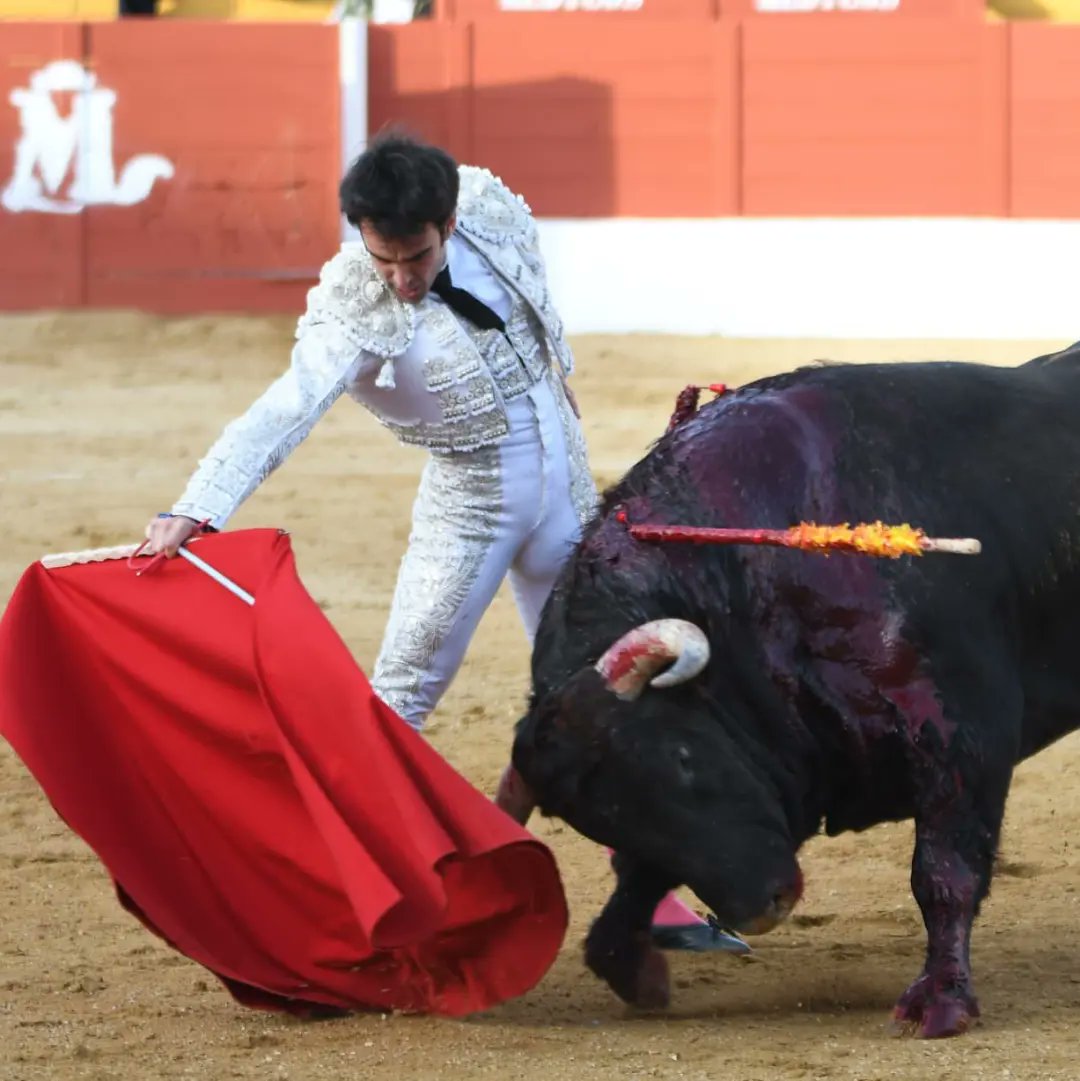 SAN AGUSTÍN DE GUADALIX (MADRID)

Silencio tras dos avisos para Javier Moreno "Lagartijo" en el segundo de la tarde de Montealto.

Imágenes: <a href="/CopaChenel/">CopaChenel</a>