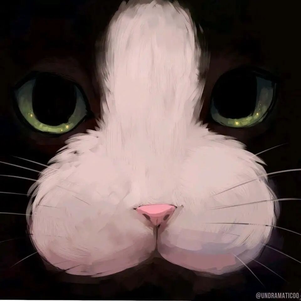 MaWorabbit's tweet photo. 我發現最近被一些關注我的推友有點奇怪，簡介都是廣告，他們是Ai嗎？ https://t.co/1yj4O3zUYs