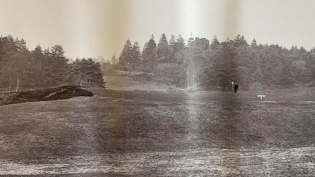 evalu18golf's tweet photo. “To depend to the maximum extent upon nature, and to the minimum upon art, makes for interesting golf and moderate expenditure.” - HS Colt 1920
-
18th at @StGeorgesHillGC 
-
Natural contours and lively topography used to perfection. https://t.co/hLx5okrms3