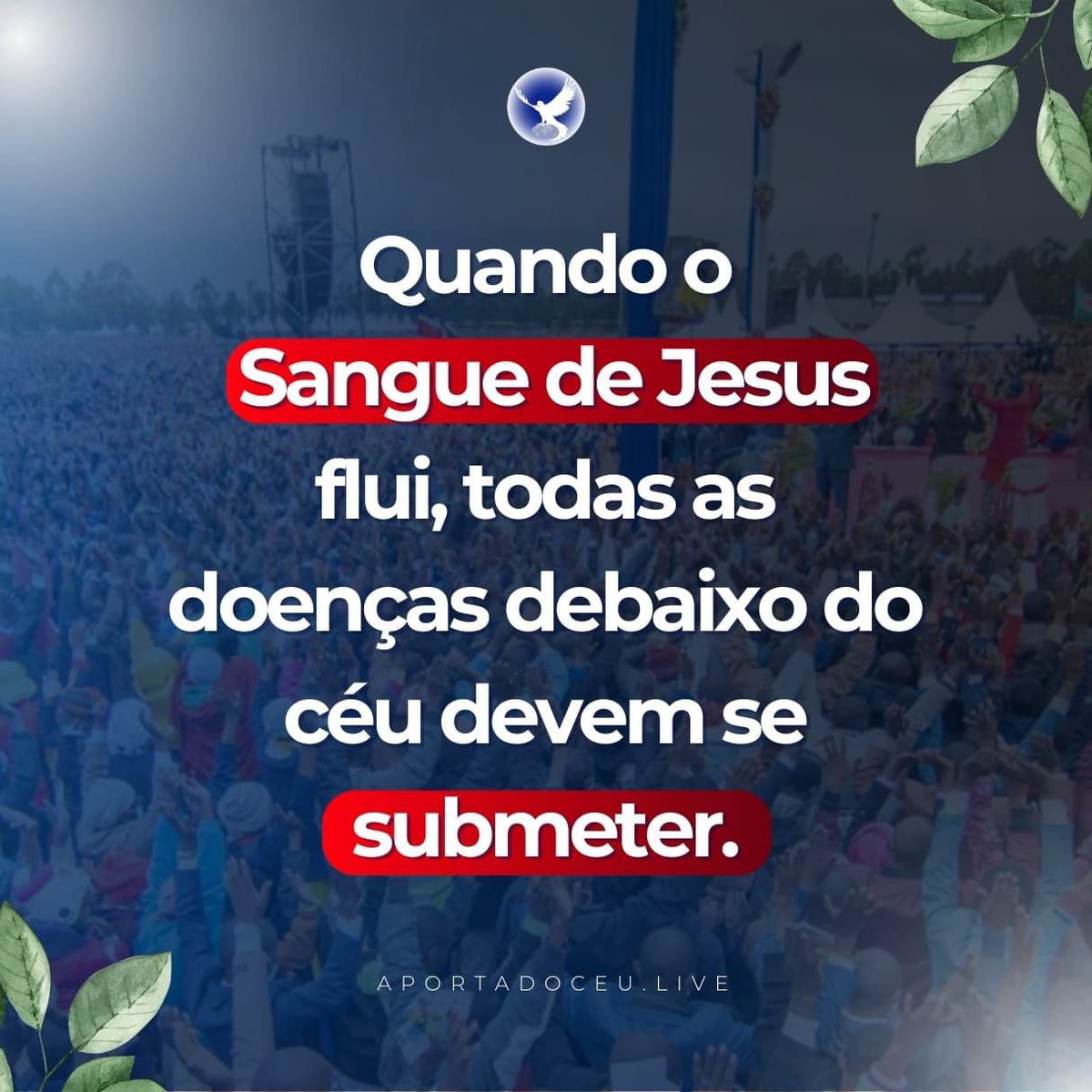 WadsonRL's tweet photo. #TsunamiOfHealings 
Este é o poder do sangue de Jesus se manifestando em um tempo moderno para que todos se arrependam e se voltam para Deus. https://t.co/A4iE41j5iq