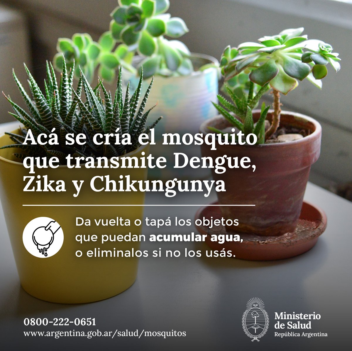 🚫 Evita la reproducción del mosquito del dengue🦟 ✅ No dejes que el agua se acumule en recipientes o contenedores. ✅ Eliminá objetos sin uso que puedan acumular agua. ✅ Limpiá y cepillá recipientes con agua. ➕ info: argentina.gob.ar/salud/mosquitos