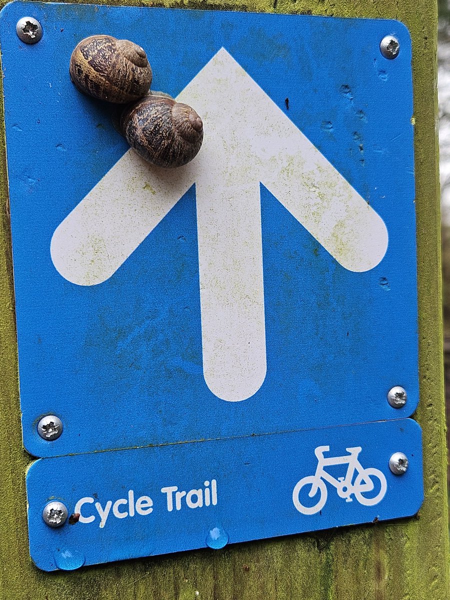 I'm guessing that these two won't win any races...