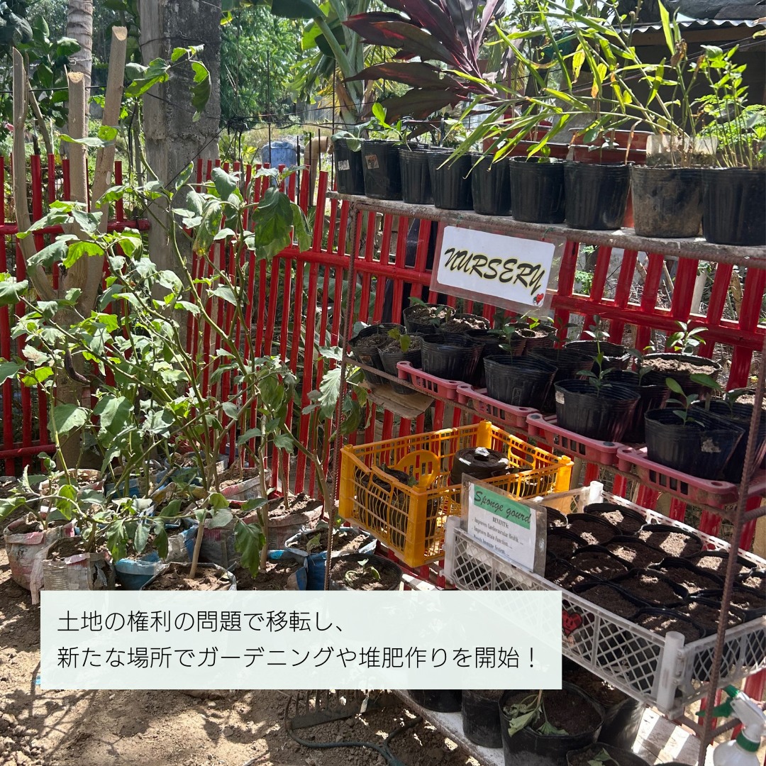 npohalohalo's tweet photo. セブ事業地ドゥムログ村では
コンポストも活用しつつ
ガーデニングで野菜などが収穫できるようになりました

#ハロハロ環境
#HopeUrbanPoorAssociation 
#DumlogTalisayCebu
2023年度 独立行政法人環境再生保全機構 #地球環境基金 助成事業 #JFGE https://t.co/4GkWWPfYVT
