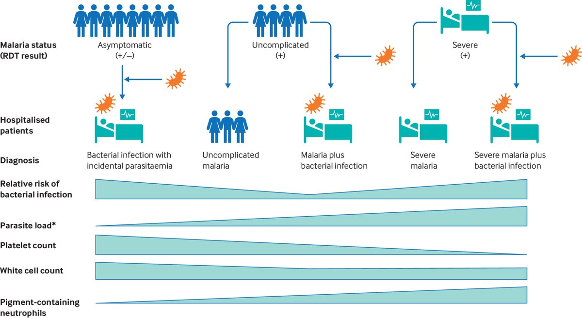 bmj_latest's tweet photo. Co-infections with malaria affect up to half of children in endemic countries and around one in seven travellers with malaria.

How should doctors assess and manage co-infection in children? #MedEd
🔗 https://t.co/770VDEhJne https://t.co/IxXzLw5Gf2