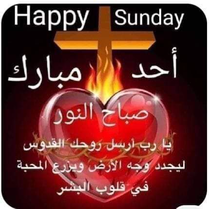 MaryAlsahwi's tweet photo. @mouwatin2 https://t.co/dx3zuNGfKg