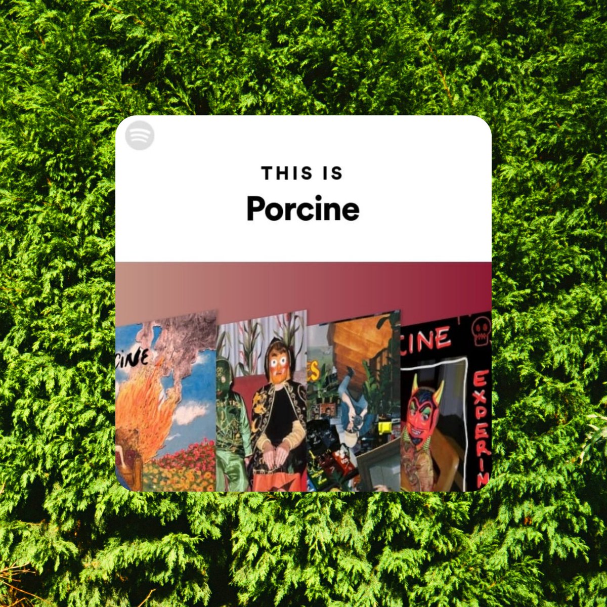 Listen to the discography on 'This Is Porcine' playlist on Spotify ✨

Listen here ~~~&gt; open.spotify.com/playlist/37i9d…