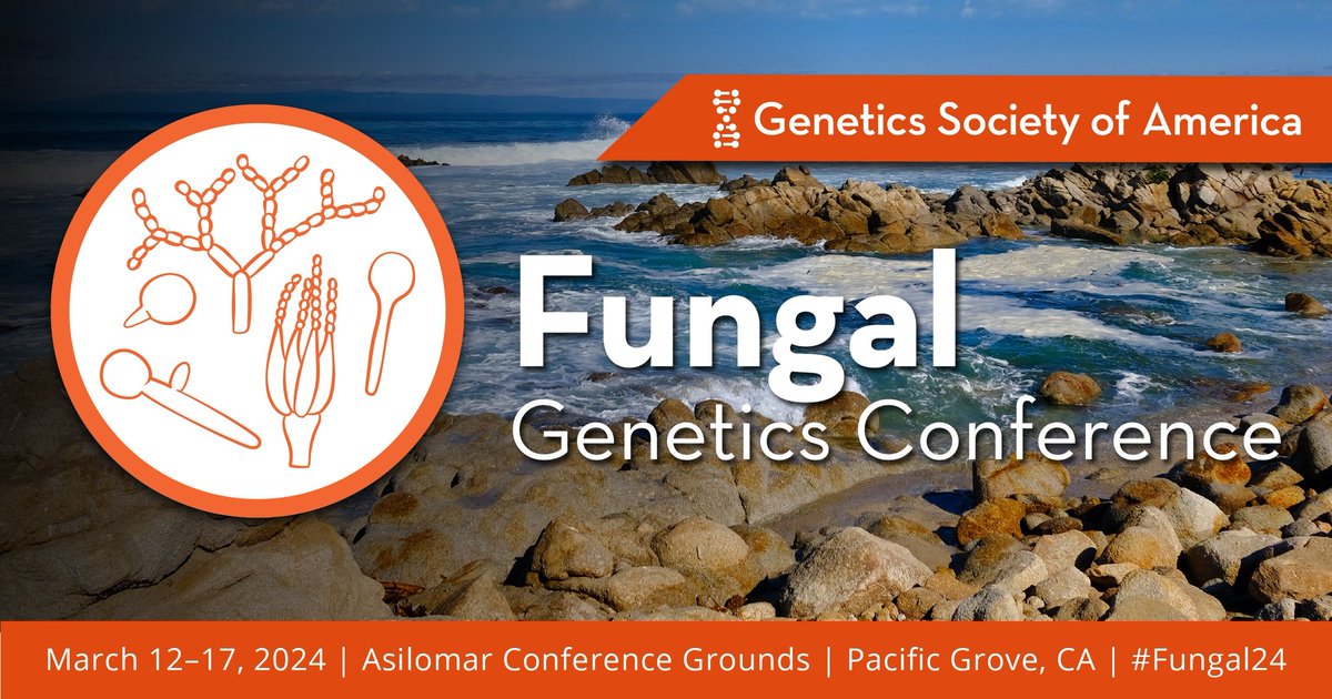 Niko Papon tweet media