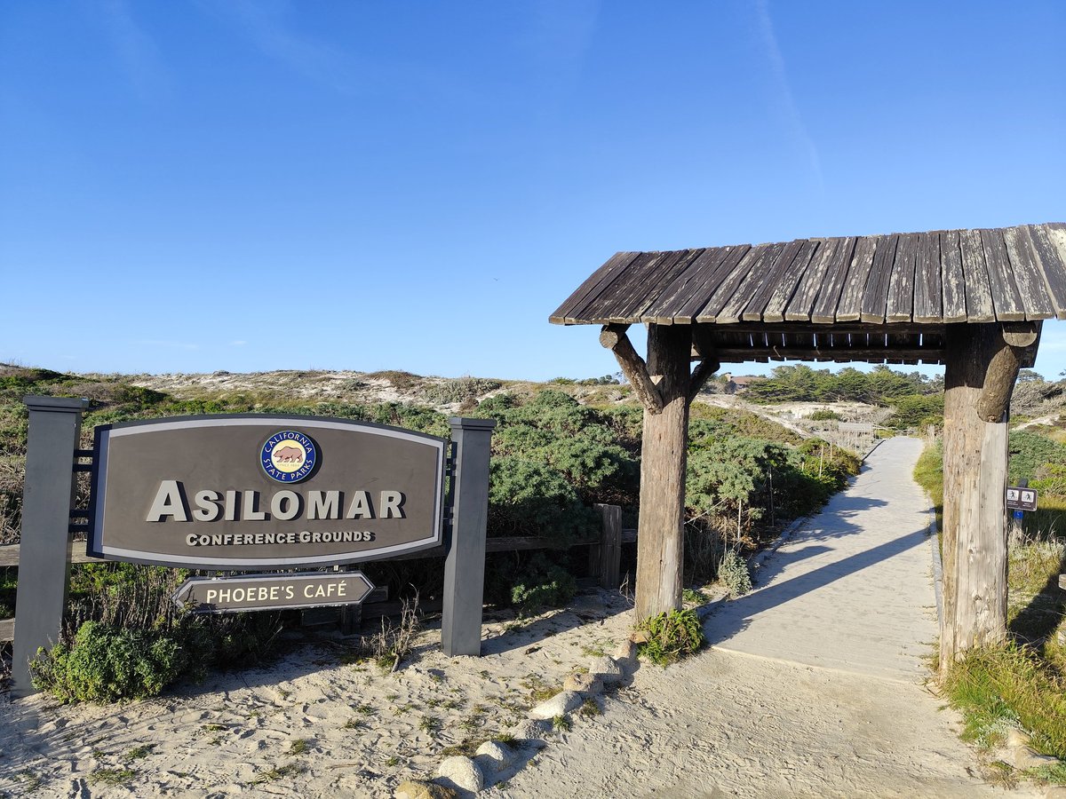 Niko Papon tweet media