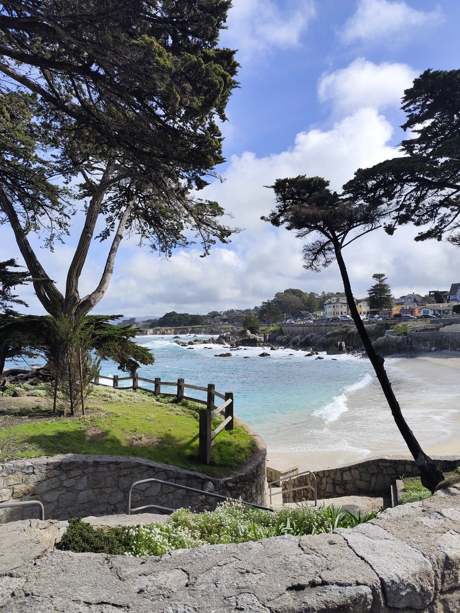 Niko Papon tweet media