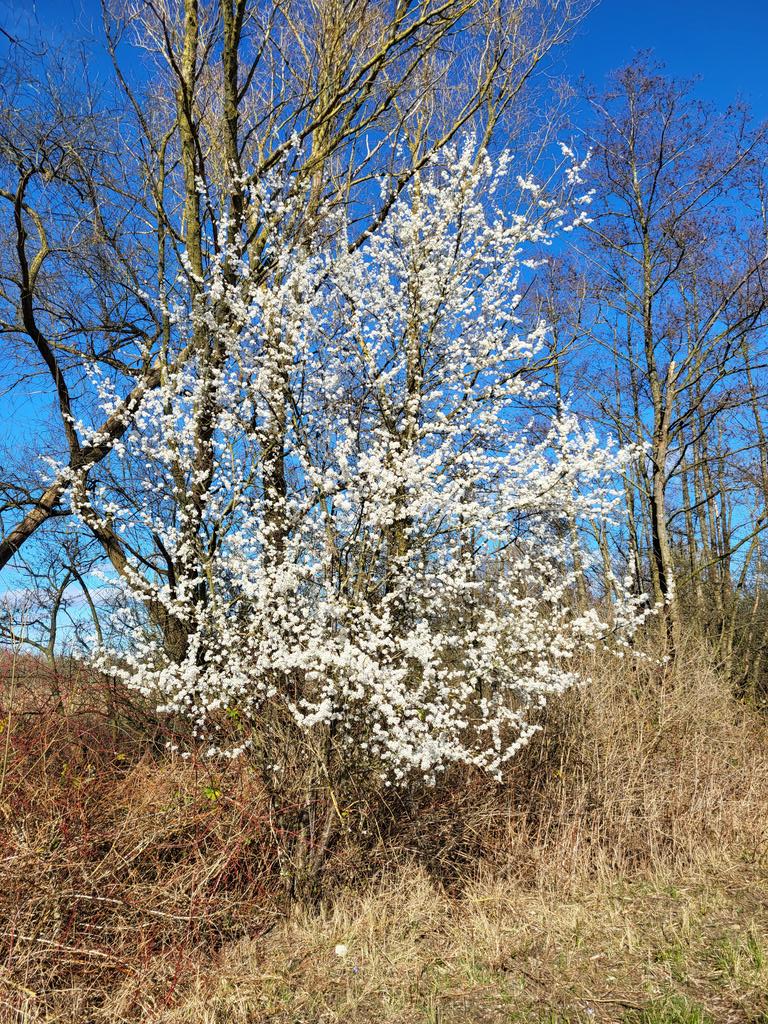 Nun kann er sich nicht mehr verstecken!