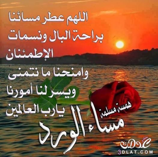 وفي مساء هذا اليوم اللهم إنا نسألك أن تهب لنآ نفوسآ راضية وصدورا من الهموم خالية وقلوبآ بحبك صافية وارزقنآ اللهم الصحة والعافية اللهم ﺃلهمنآ ﻓﻲ ﺃﻣﺮنآ ﺍﻟﺼﻮﺍﺏ💐
