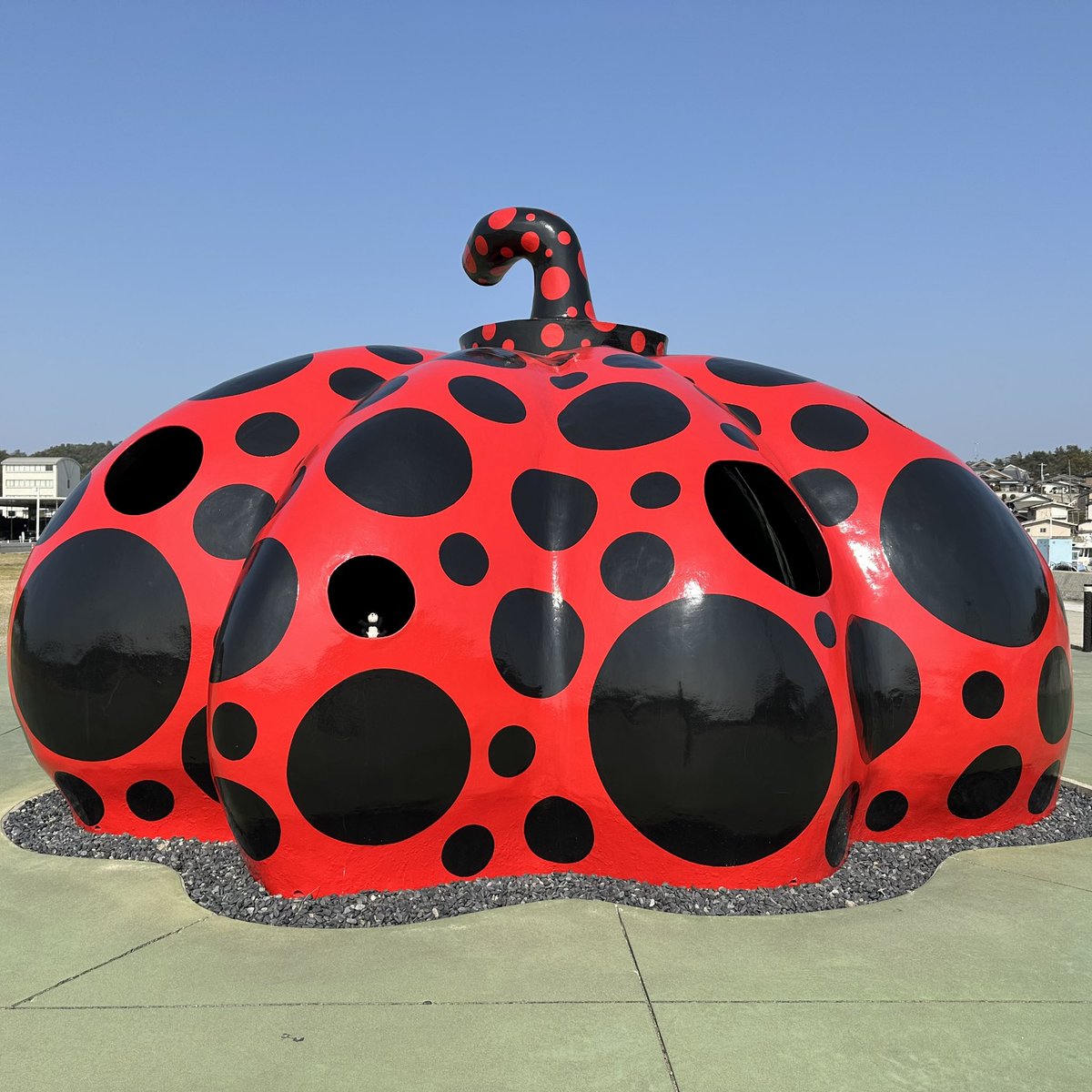 panda pankoro tweet media