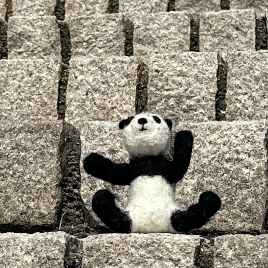 panda pankoro tweet media