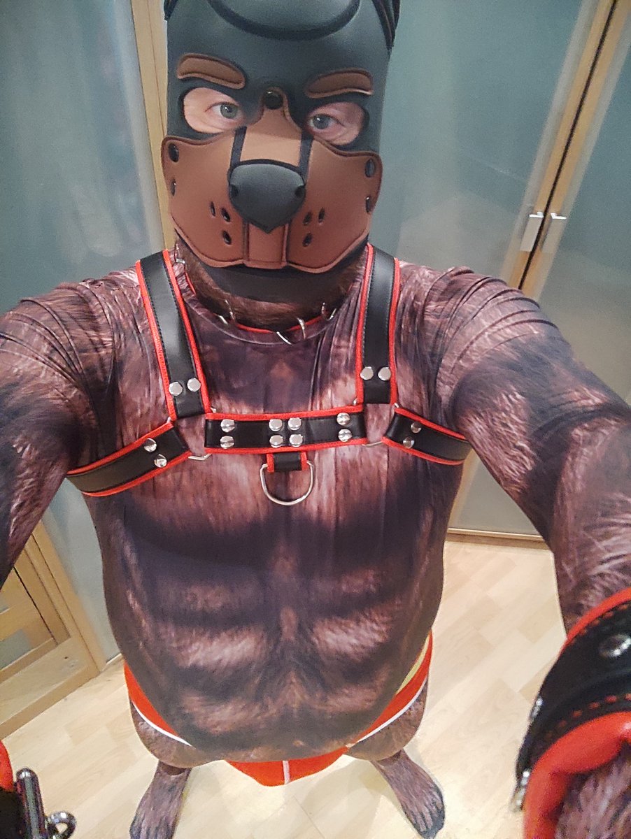 kuma_bearpup's tweet photo. https://t.co/UA3kUlRSnK