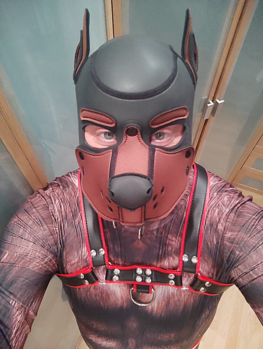 kuma_bearpup's tweet photo. https://t.co/UA3kUlRSnK