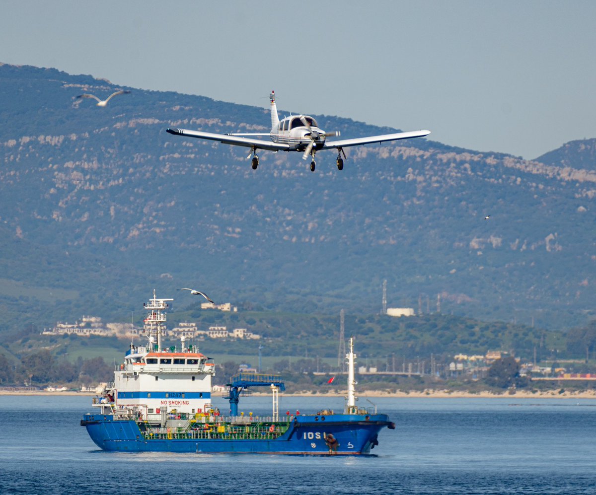 Ed Allison-Wright tweet media