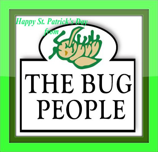 SHSPestControl's tweet image. Happy Saint Patrick's Day from all of us at SHS Pest Control!😘🍀💫💚