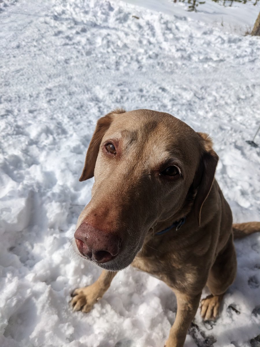 Byron Bergren tweet media