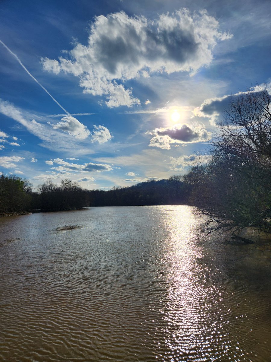 Yesterday's evening stroll down by the river.