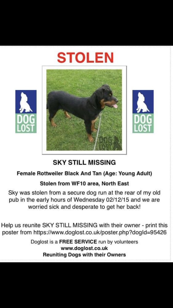 SKY 🙏🙏🙏
#getskyhome
#Rottweiler 
#Stolen #PetTheft
#TheftByFinding
#Chipped #ScanThatChip
#PetTheftAwarenessWeek 
Pls speak out!
Someone Somewhere Knows Where Sky is 🙏
It’s time to get her Home
#Missing far too long!
You can stop the pain of #DogTheft 
doglost.co.uk/dog-blog.php?d…