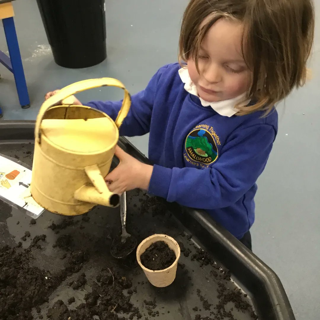 Smallwoodschool's tweet photo. Last week, Nursery has been a buzz with excitement. As we dived into the wonderful world of mini-beasts! As bees feast on the nectar from flowers, our nursery children have been buzzing with activity, planting flowers to help our bees! 

#nature #helpthebees #minibeasts #eyfs https://t.co/sZrAvUeP6q