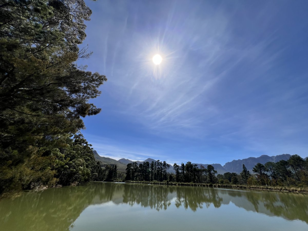 Linda Potgieter | The Squashed Tomato 🍅🇿🇦 tweet media