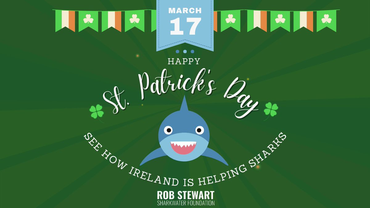 🍀Happy St. Patrick’s Day!🍀 The fin trade is banned in Northern Ireland. Basking sharks are protected in the Republic of Ireland and both countries ban shark finning. See how Ireland is helping sharks here: irishelasmobranchgroup.wordpress.com/irish-elasmobr… #RobStewart #Sharkwater #stpatricksday