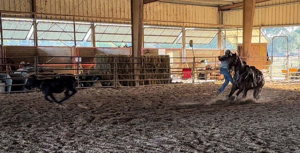 You are allowed to be both a masterpiece, and a work in progress… #rappinbreezy #rodeo #roping #horse #aqha #prca #mare