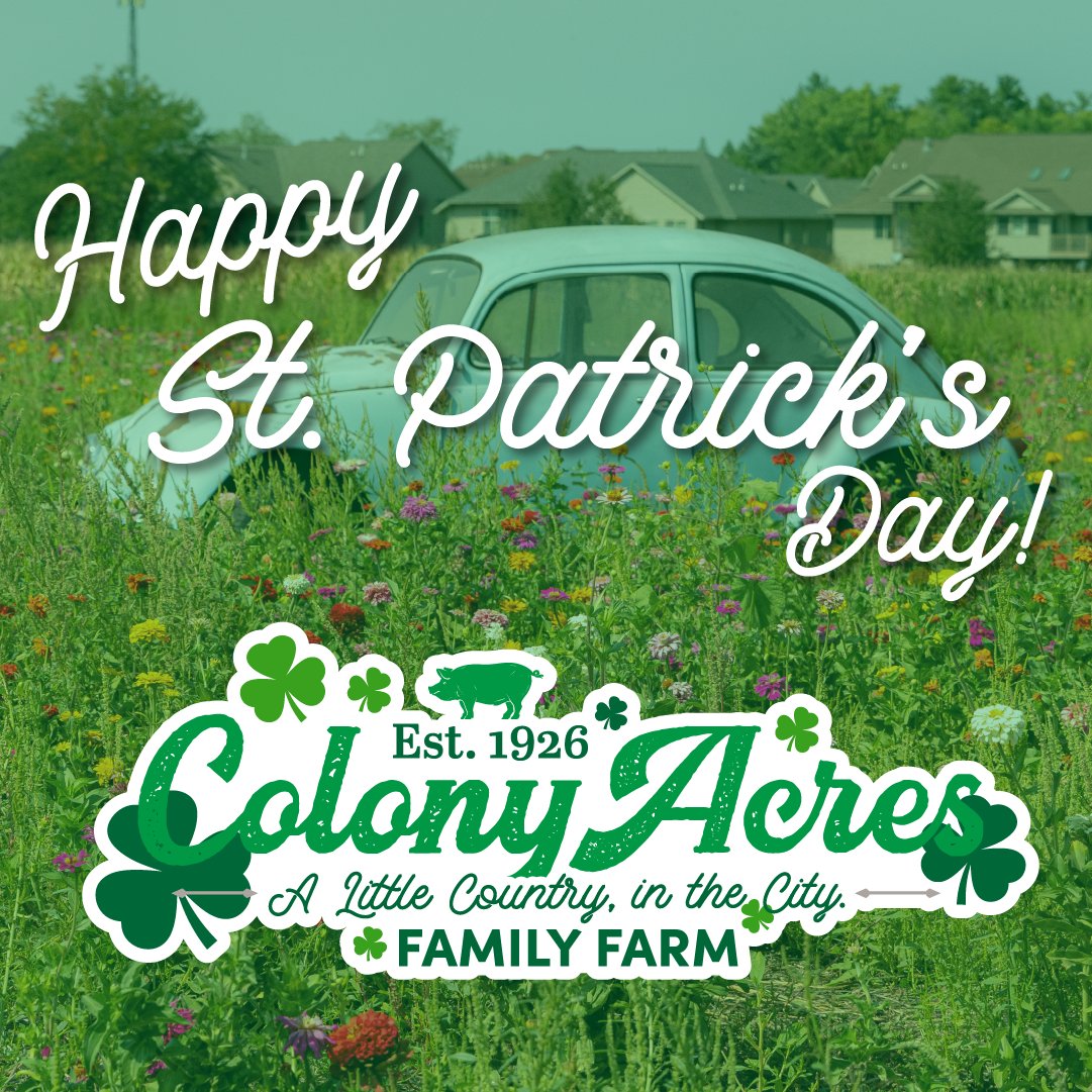 Colony Acres Iowa tweet media