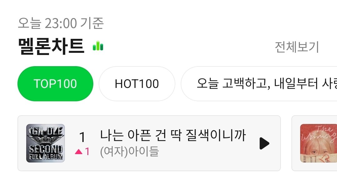 🎉 23시 멜론 TOP 100 '나는 아픈 건 딱 질색이니까' 1위 (+1) 🎉