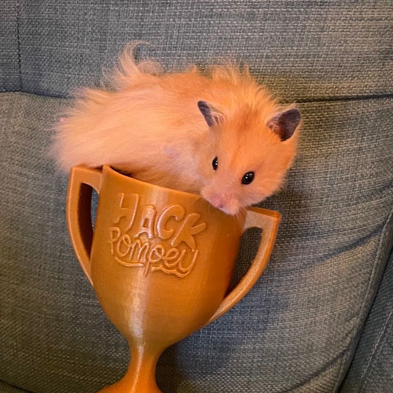 Hack Pompey tweet media