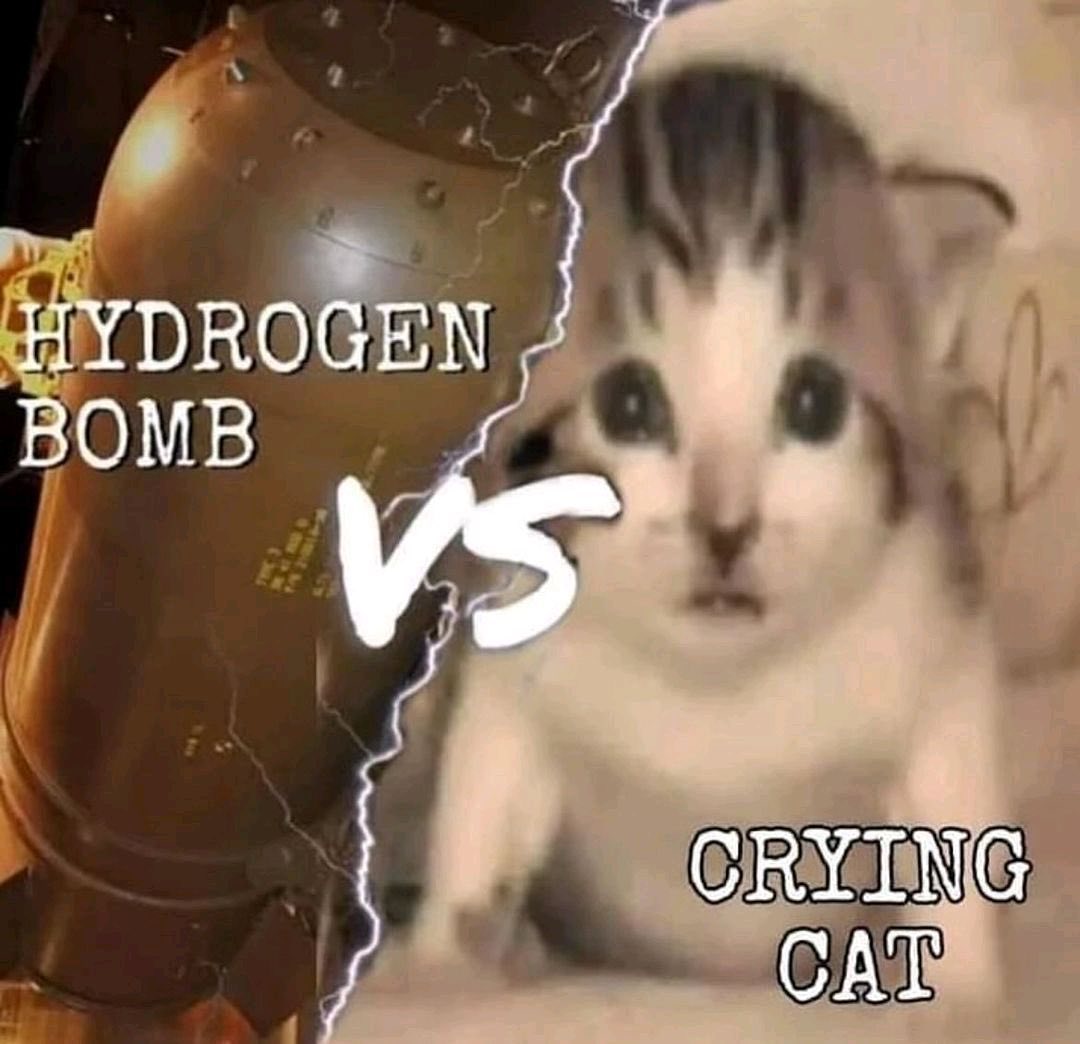 PunchingCat's tweet photo. https://t.co/ugrO2b2cZS