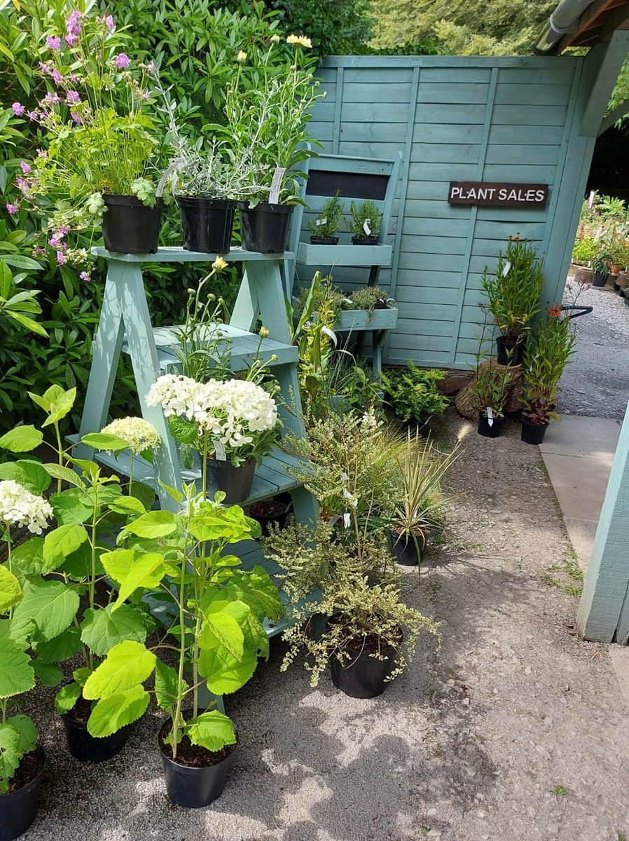 Next week our plant centre has been here for 30 years! It was opened on 24th March 1994 by honorary life member Chris Bickell who was also a former RHS Director and Editor in Chief for the RHS Encyclopaedia of Gardening.