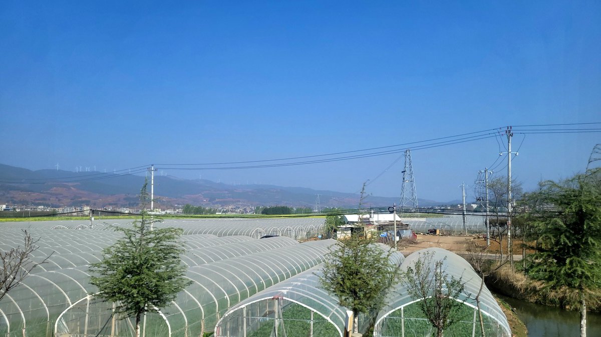 ngocanh06ms's tweet photo. Summarized the 5-day program that includes valuable information on resource economics and regional cooperation booth in Yunnan, China. Tour of areas where flower products are grown and processed was the most impressive aspect of the program.
#businessconnection #businessexpo https://t.co/8p8qScLwyc