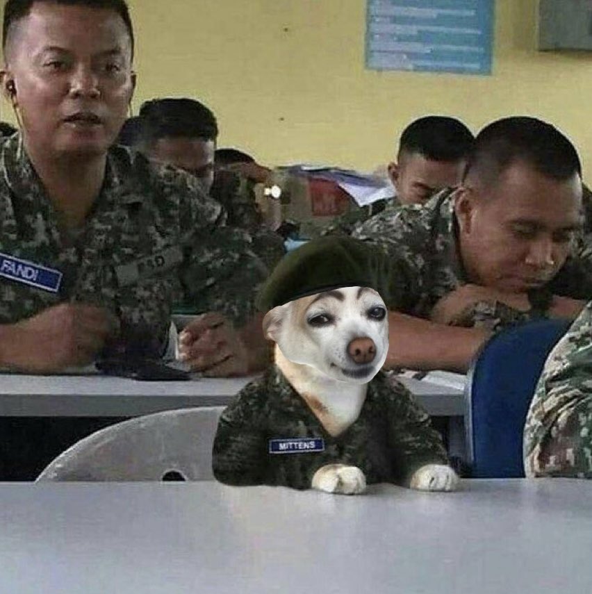 バラ🌷 𝐧𝐚𝐯𝐲 𝐰𝐢𝐟𝐞𝐲 (@fawithty_) on Twitter photo 