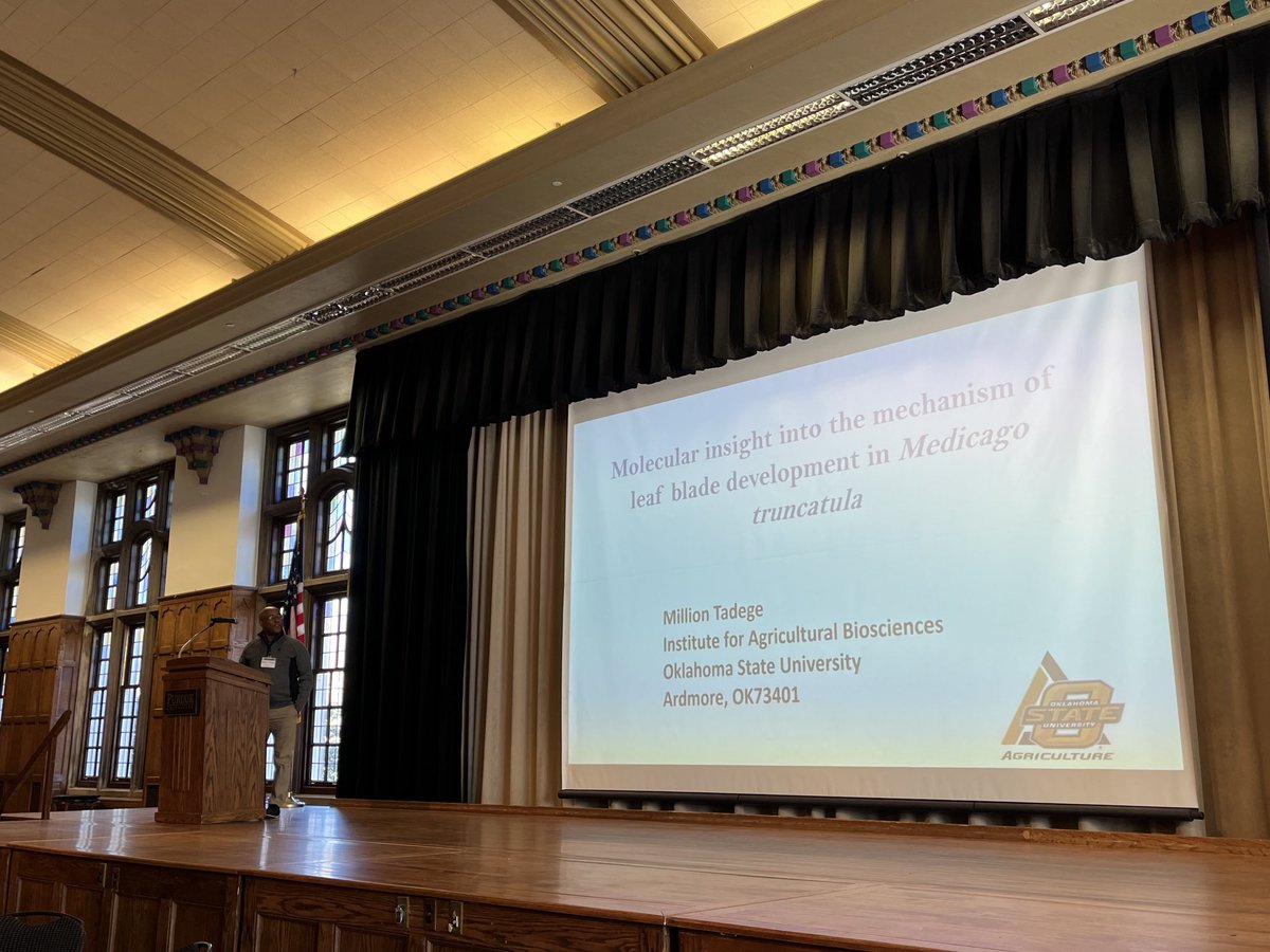 Purdue Center for Plant Biology (@purduecpb) on Twitter photo The 5th & final session of #MWASPB2024 is starting off with a talk from Dr. Million Tadege from <a href="/okstate/">Oklahoma State Univ.</a> <a href="/ASPB/">ASPB</a> The 5th & final session of #MWASPB2024 is starting off with a talk from Dr. Million Tadege from <a href="/okstate/">Oklahoma State Univ.</a> <a href="/ASPB/">ASPB</a>