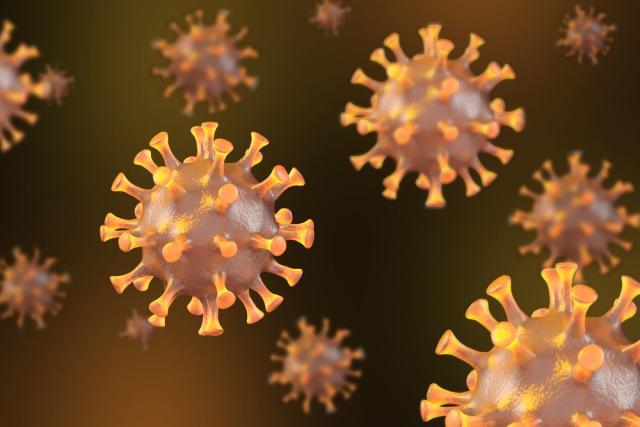#17Mar | Cepa B/Yamagata disminuye sustancialmente por efectos del Covid-19 😷🦠 Yamagata es una cepa del virus de la influenza que se encuentra en la familia Orthomyxoviridae. Más información ➡️ tinyurl.com/3srkpdkp #CienciaParaLaVida