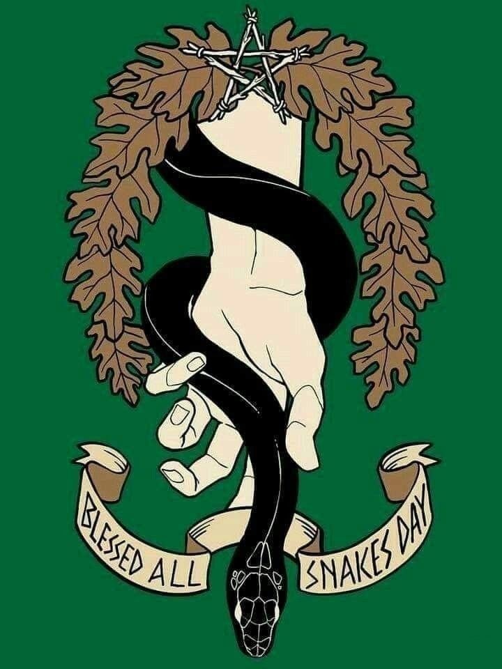 2BeAWildflower's tweet photo. Blessed are the Snakes
💚🤍🧡
🐍🍀🇮🇪 https://t.co/W5nS2b3uvi