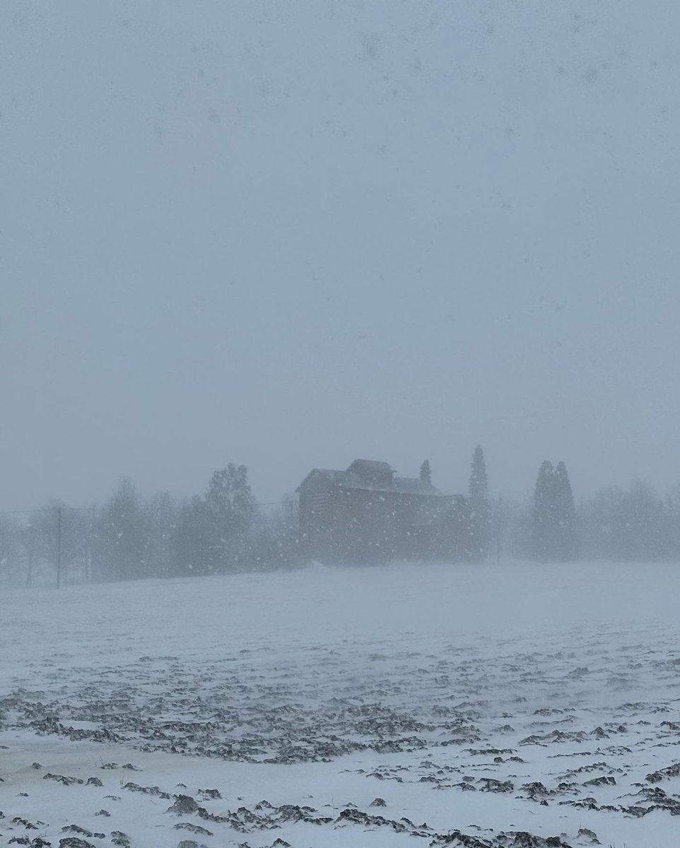 Snöstorm på Malmgård 17.3.2024