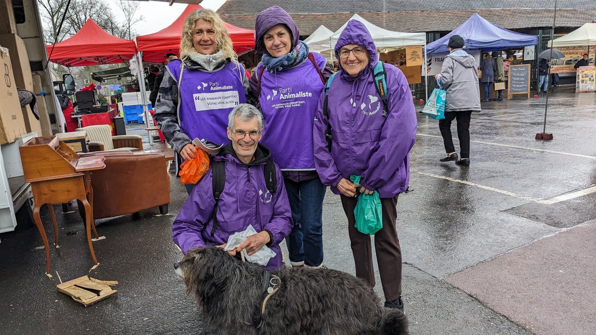 laurencevolbart's tweet photo. Toute l'Ile de France était mobilisée ce week-end pour parler du programme agriculture du @PartiAnimaliste aux #Europeennes2024 !
Bravo aux bénévoles sur les marchés de #Fontainebleau #Draveil #LePerreux et l' #IsleAdam !
#OnRecolteCeQueLonSeme https://t.co/5IQhKRcTt8