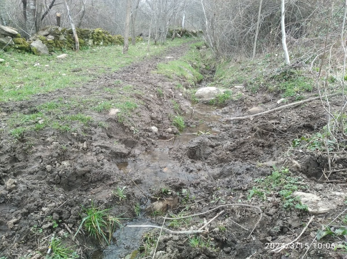 analani's tweet image. No Al ECOCIDIO 
#AbrazoMadreTierra17M
#CaminosPublicos
Ganaderos y Ayuntamiento culpables
#Nitratos #Agua #Horcajuelo