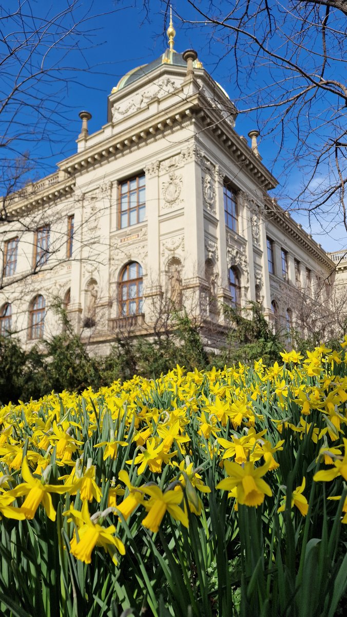 🌷🌸🌼 Spring is here! #nationalmuseum #prague