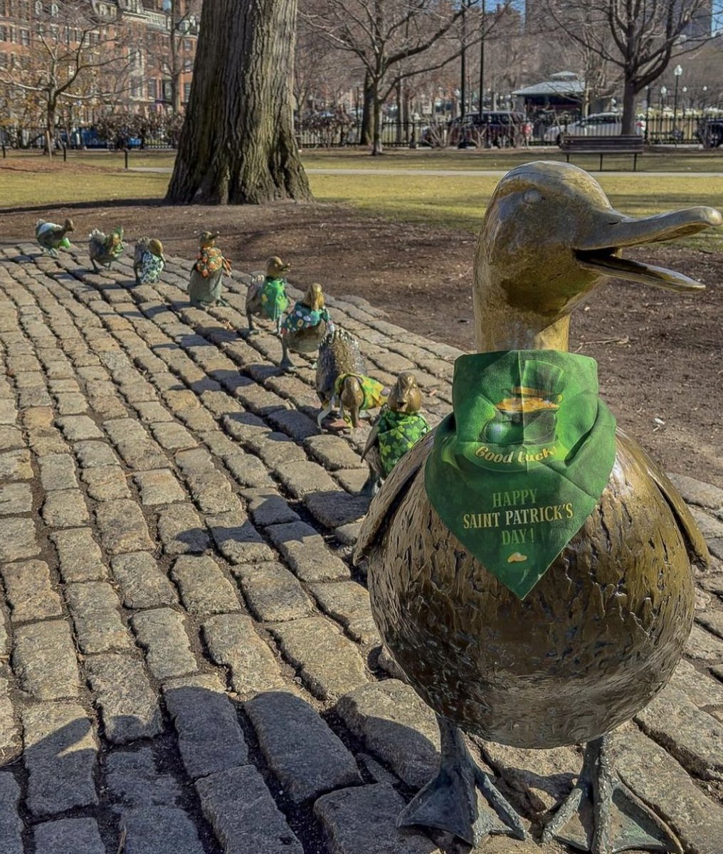 Boston University tweet media